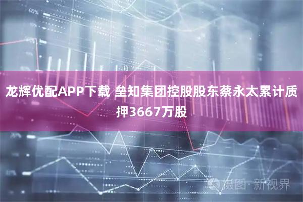 龙辉优配APP下载 垒知集团控股股东蔡永太累计质押3667万股