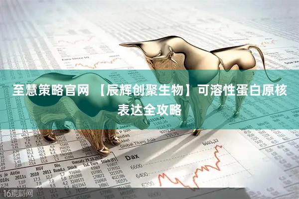 至慧策略官网 【辰辉创聚生物】可溶性蛋白原核表达全攻略