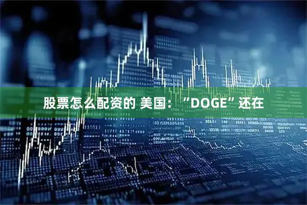 股票怎么配资的 美国：“DOGE”还在