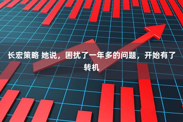 长宏策略 她说，困扰了一年多的问题，开始有了转机