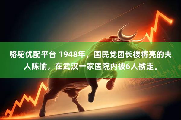 骆驼优配平台 1948年，国民党团长楼将亮的夫人陈愉，在武汉一家医院内被6人掳走。